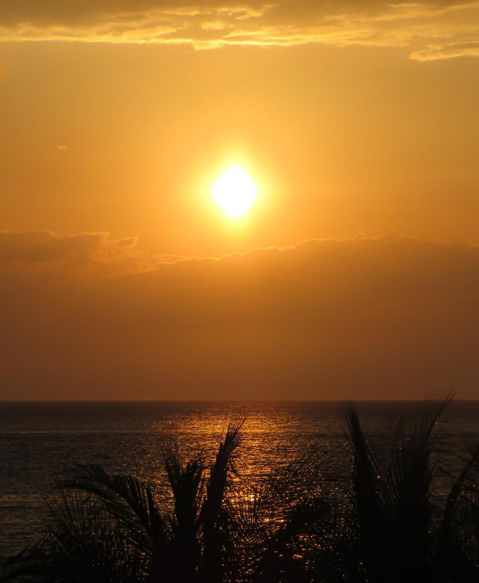 Maia Suites Cozumel Esterno foto
